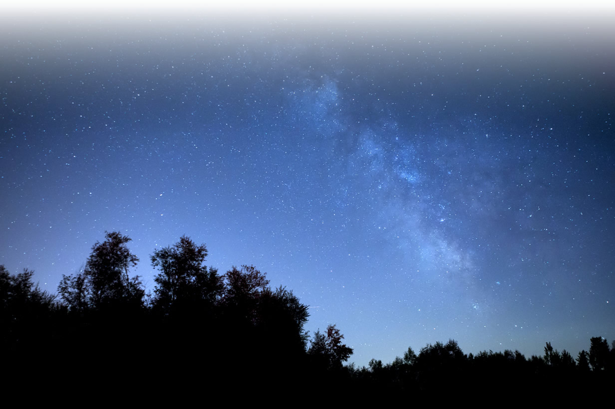 地球と共存するナチュラルラグジュアリーなライフスタイル